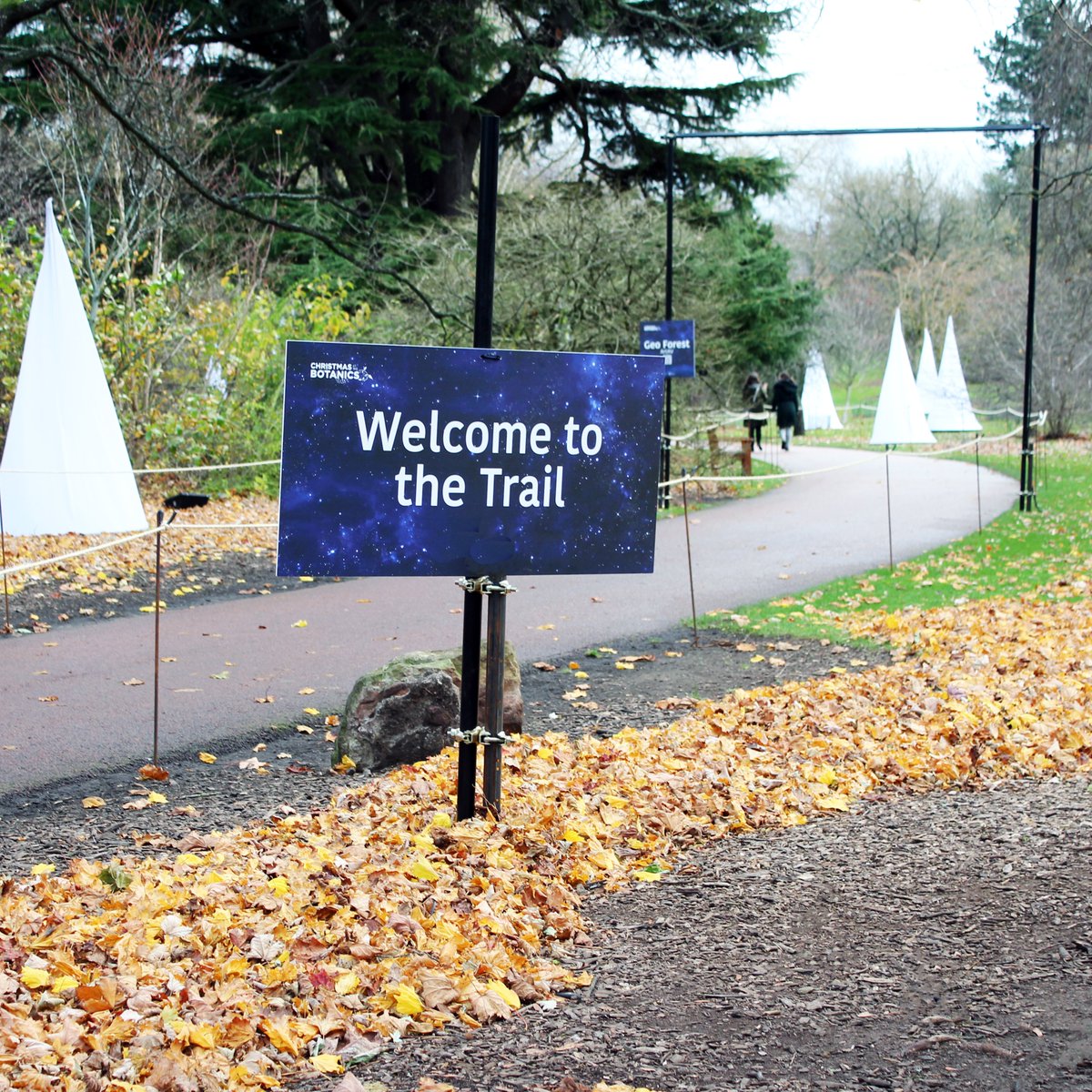 Baillie Signs (@bailliesigns) on Twitter photo πA botanical world, full of festive cheer is back this year!βοΈWhere we have been busy producing and installing signs for <a href="/TheBotanics/">Royal Botanic Garden Edinburgh</a> illuminated festive show.
#ChristmasattheBotanics #Christmas2021 #Christmassigns #Signage #Bailliesigns #Spectacularlightshow #banners #print πA botanical world, full of festive cheer is back this year!βοΈWhere we have been busy producing and installing signs for <a href="/TheBotanics/">Royal Botanic Garden Edinburgh</a> illuminated festive show.
#ChristmasattheBotanics #Christmas2021 #Christmassigns #Signage #Bailliesigns #Spectacularlightshow #banners #print
