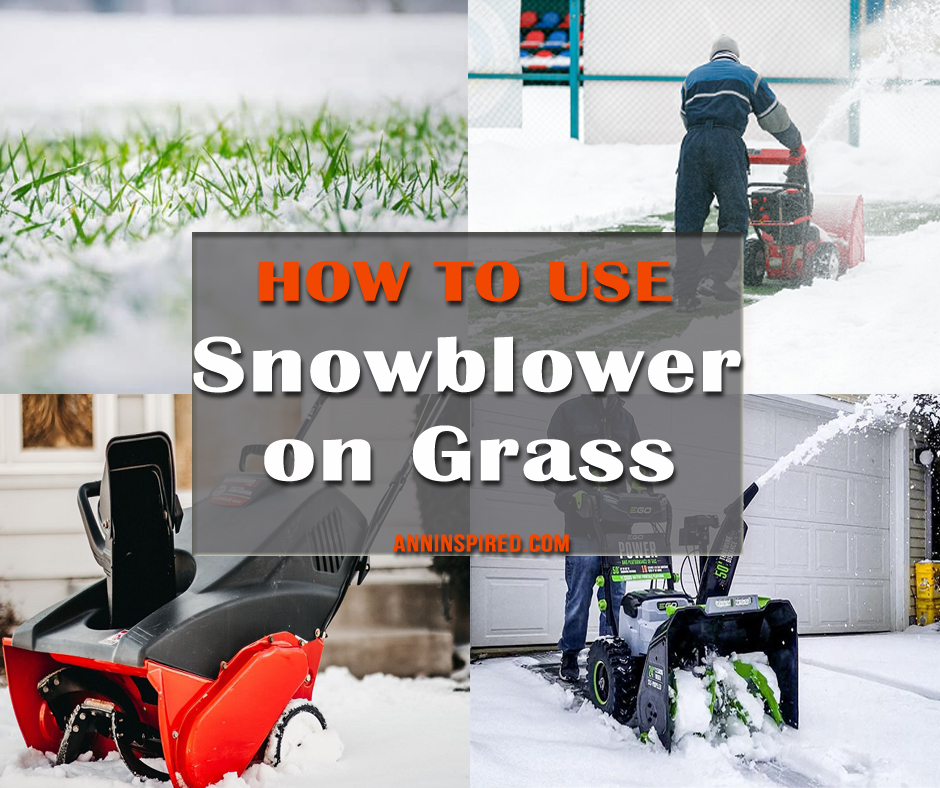 AnnInspiredBlog's tweet image. How to Use Snowblower on Grass❄
anninspired.com/use-snowblower…
#snowblower #howtousesnowblower #snowblowerongrass