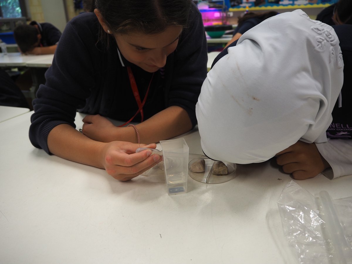 EarthScienceWA's tweet image. Dianella Primary College's lab was buzzing with activity during our incursions. Students made fake fossils, investigated lava viscosity, tested rocks for a mineral, examined soils &amp;amp; flooded model landscapes-phew! Lots of fun learning. Thanks to #WACoreOperations supporters