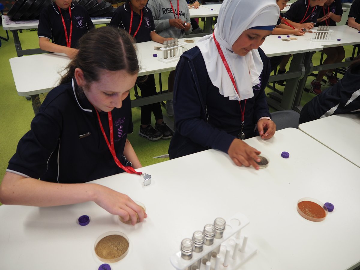 EarthScienceWA's tweet image. Dianella Primary College's lab was buzzing with activity during our incursions. Students made fake fossils, investigated lava viscosity, tested rocks for a mineral, examined soils &amp;amp; flooded model landscapes-phew! Lots of fun learning. Thanks to #WACoreOperations supporters