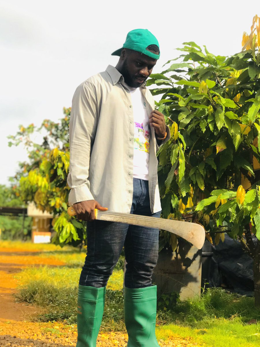 king_pablo95's tweet image. #CocoaFarmer @ghcocobod @ListowellW