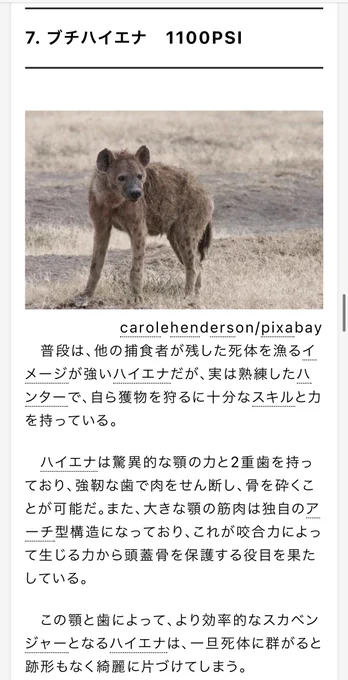 ハイエナの咬合力の半分以下やん…ライオン… 