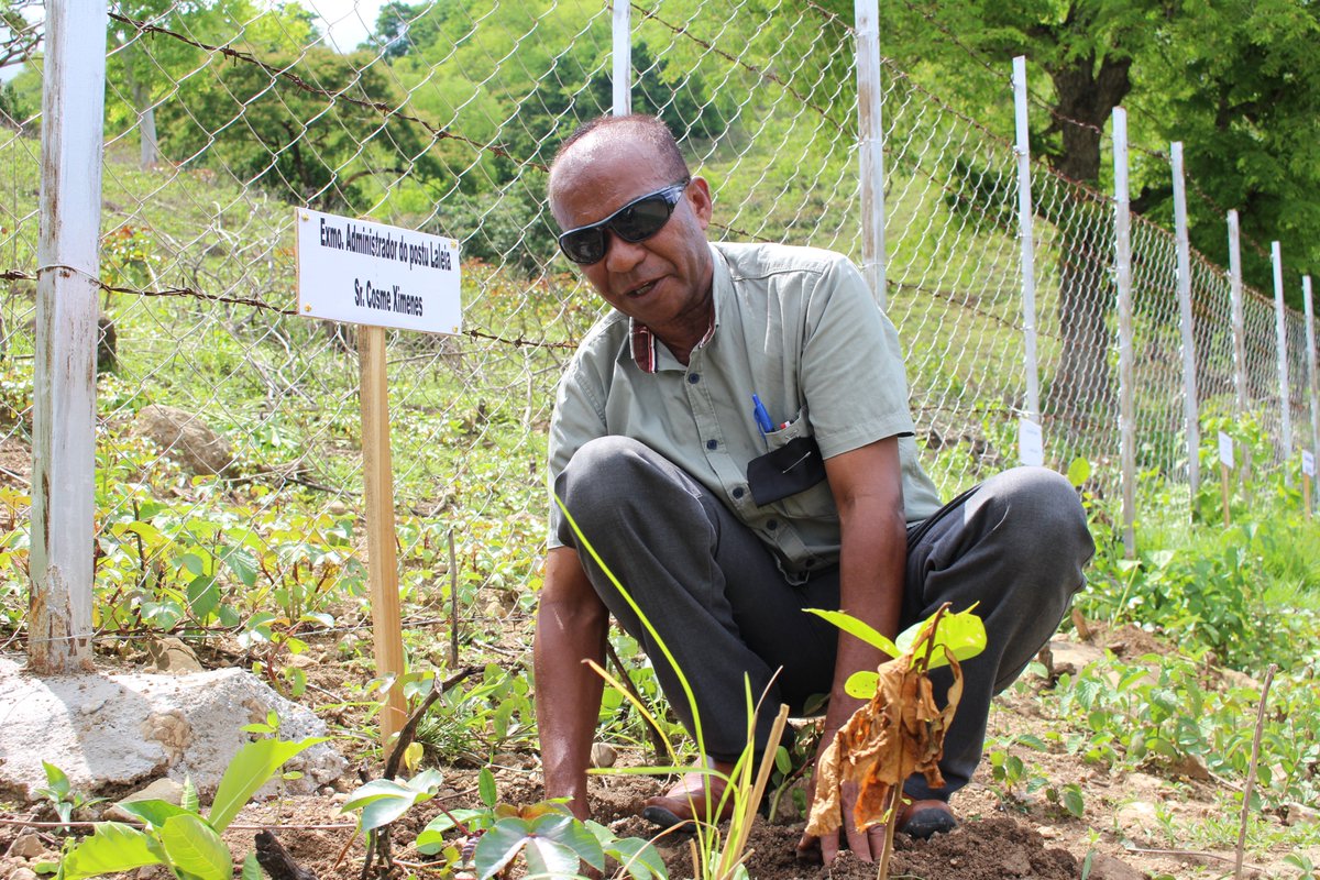 Rainwater harvesting is one of the sustainable methods for climate change adaption while at the same time supplying water to rice fields, livestock and other agricultural activities in the community. Covering an area of approximately 3,100 m2.