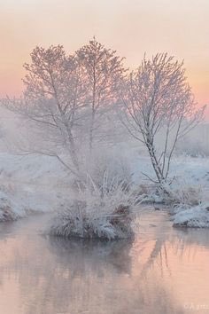 Bonjour  à tous , bonne journée  de Jeudi  à tous 😘🍀🌸 🍀<a href="/AndjelkaPe/">🦌DARLING🐶</a> @emmrence <a href="/lamascotte1/">lamascotte (45)</a> 
<a href="/guyboutault/">boutault guy</a> <a href="/Becassier1/">Becassier</a> <a href="/lebeaumatou/">gilbertlouis14</a> <a href="/RSCLdaniel/">fandanne.rscl</a>🍀🍀