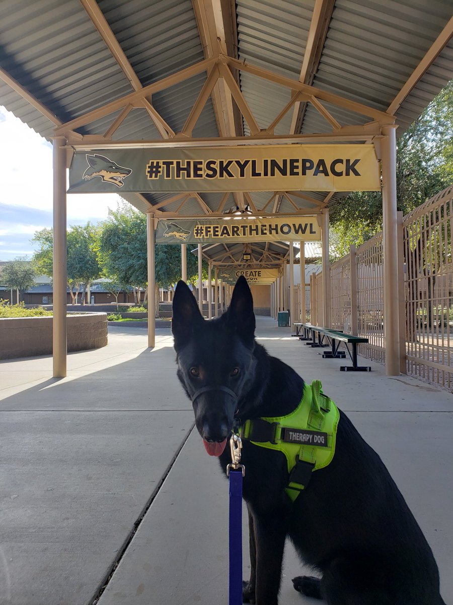 Today was Koa's first day on campus as an official therapy dog with <a href="/mpsaz/">Mesa Public Schools</a> Pawsitive Peers program. It was hard too tell who enjoyed it more, Koa or everyone who loved on her.