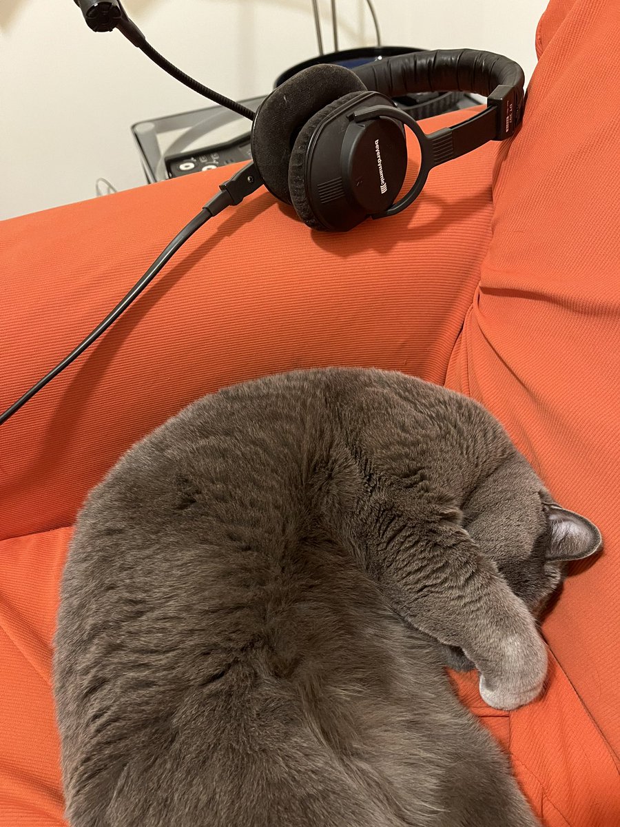 ROBERTO ZICHITTELLA tweet media