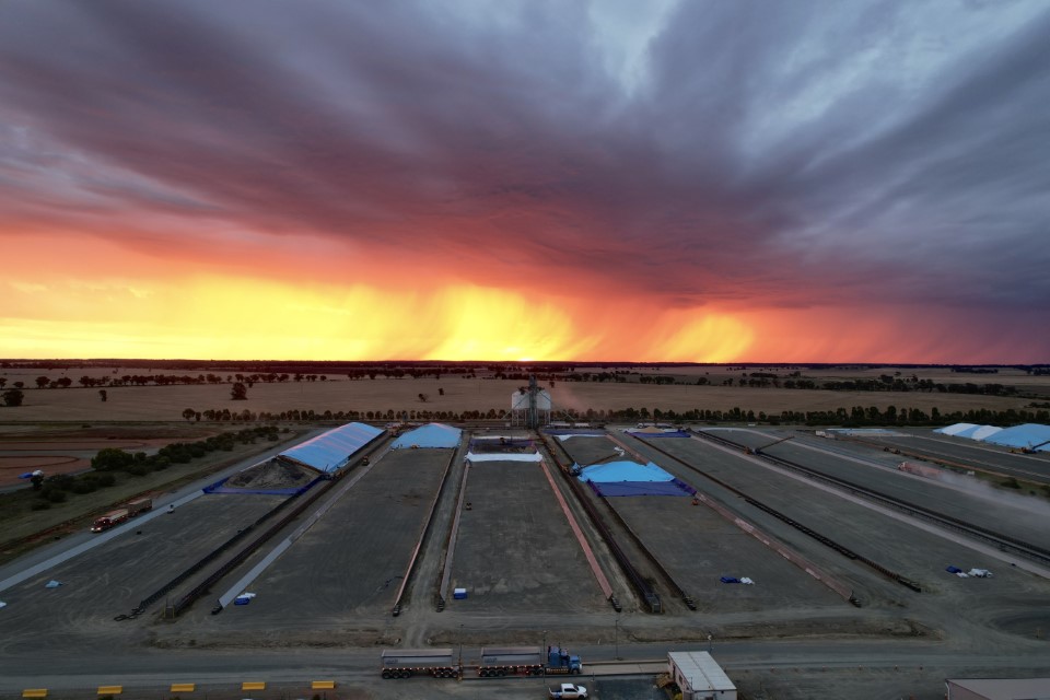 CargillAUS's tweet photo. Ray of hope shining at our #grainflow site at West Wyalong.
#grains #harvest21 #agtwitter https://t.co/QLa9rnFIYp