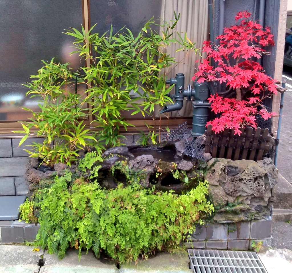 植え込み - Twitter Search / Twitter