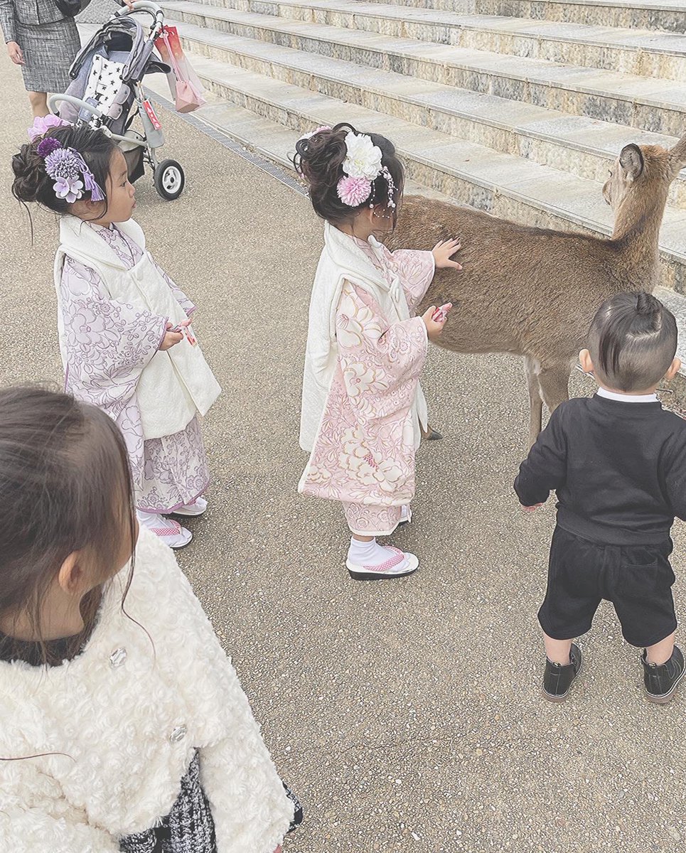 airin0907's tweet photo. 4人ともあっという間に大きくなる
まだ4歳3歳もうすぐ2歳やけど寂しいなぁ
早く大きくなれぇーって思う時もあれば
赤ちゃんの頃に戻ってぇって思う時もある

これから考えることたくさんや！
子供達の為にママ頑張ろ！！ https://t.co/mrSXFnzrvG