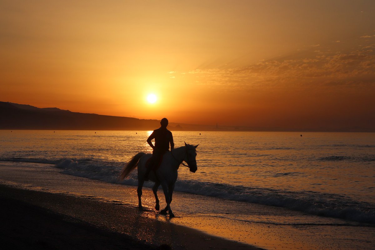 lolip4451's tweet photo. #amanecer #aguadulce #sol https://t.co/62ddPYvH6W