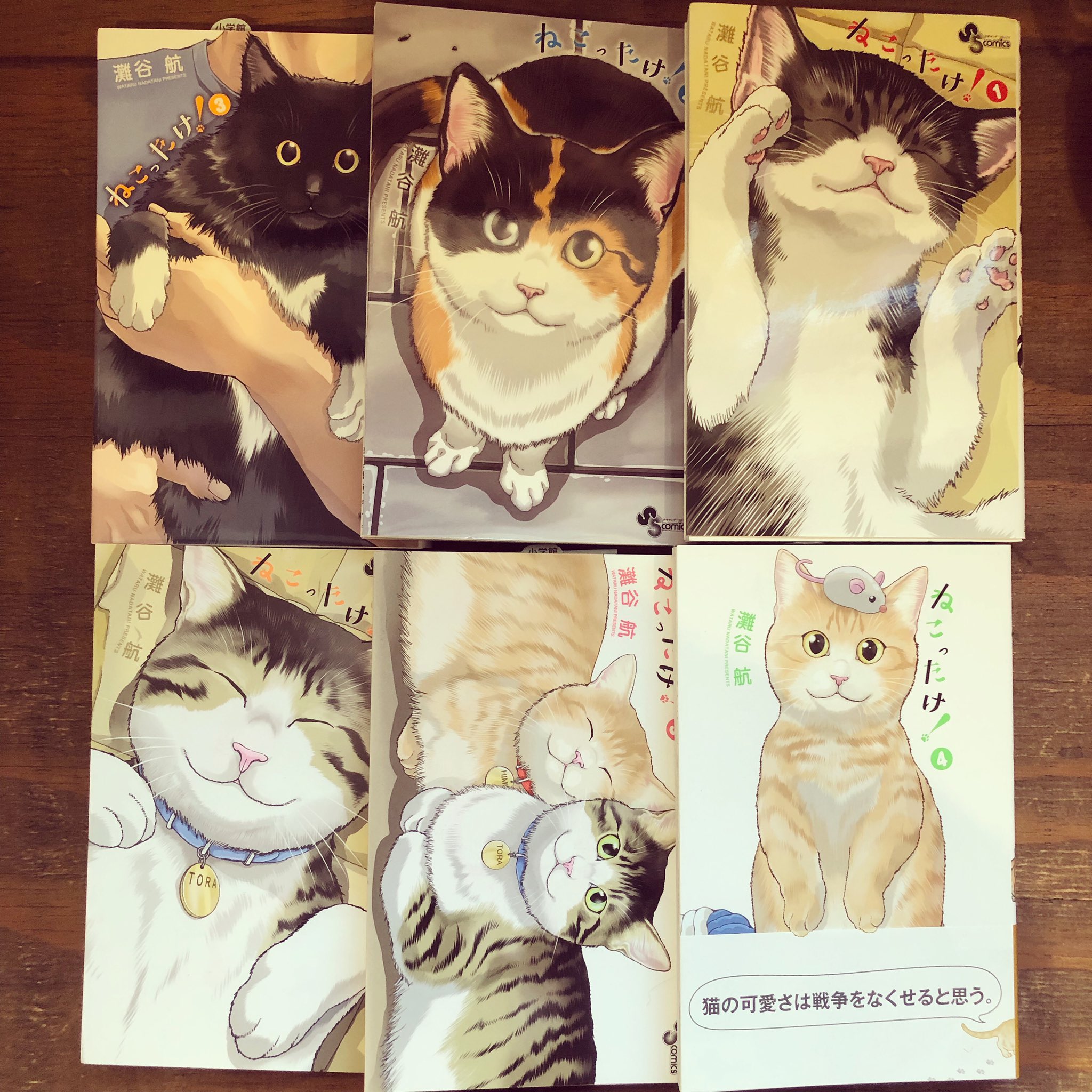 ねこったけ Twitter Search Twitter