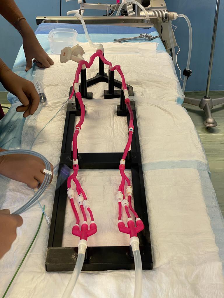 Successful session @groupehospitalierparissaintjoseph  with this FIRST ALI training on #Bone3D model with the #IndigoSystem @penumbraEMEA