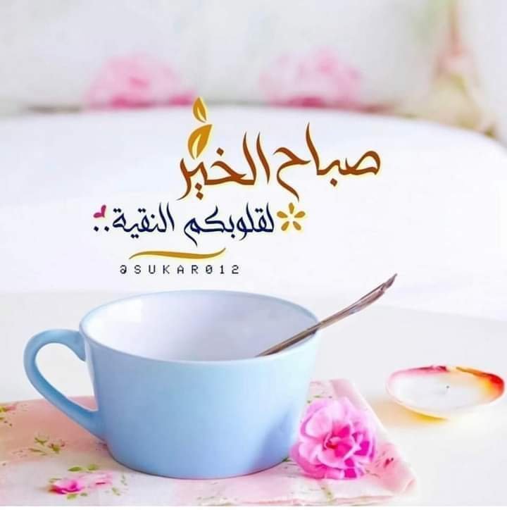 pLBGMX's tweet photo. صباحكم معطر بذكر الله
اسعدالله صباحكم بكل خير https://t.co/SriqtybsdN