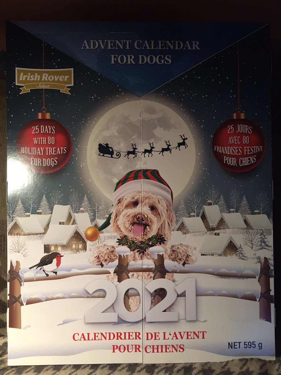 DublinIrishPup's tweet photo. #pupdate pals Mum says in da morrow we pace da #AdventCalendar2021 better one in da morning after me brekky den after she gets home from da work b4 our walk den after dinner & b4 #bedtime okay seems fair & will savour more βΊοΈπ€€π€€π#irishterrier #luckydog #terriersrule #nuffsaid https://t.co/ASqQbDQ0cG