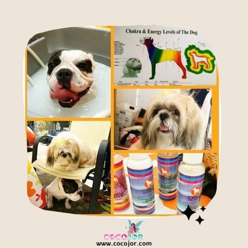 Cocojor's tweet image. Minicle Micro Bubble System. Know, Learn and Get it now! #cocojor #minicle #micro #bubble #system 
👉cocojorchannel.com/workshop/consu…
👉cocojor.com