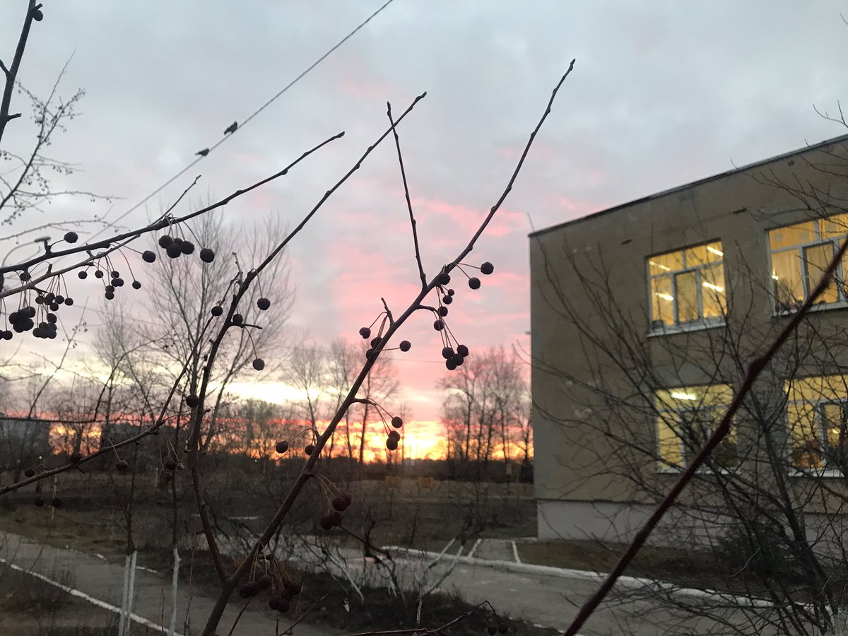 Лучезарный восход над нашим садом