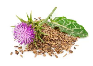herbblender's tweet photo. Continuing our 👩‍👩‍👧‍👦 effort to dispel #essiac misinformation ⚡️. Good #essiactea info here: As with many who experience frontiers of knowledge, Caisse speculated about what many to this day don't understand. #essiacinformation #herbalbalanceforlife https://t.co/tuI00Zb4zk https://t.co/wp3lHJOHVi