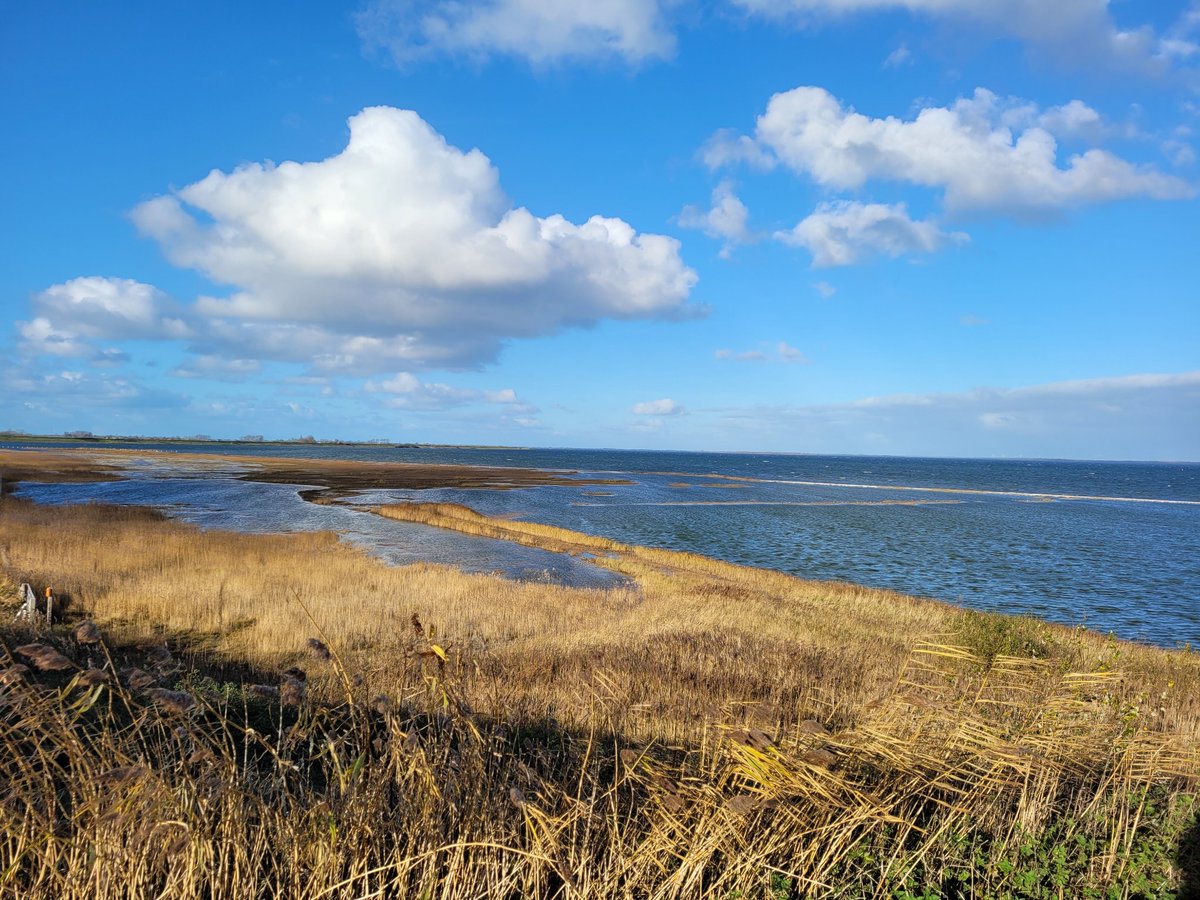 Grevelingen op de hoogte van het Dijkwater.