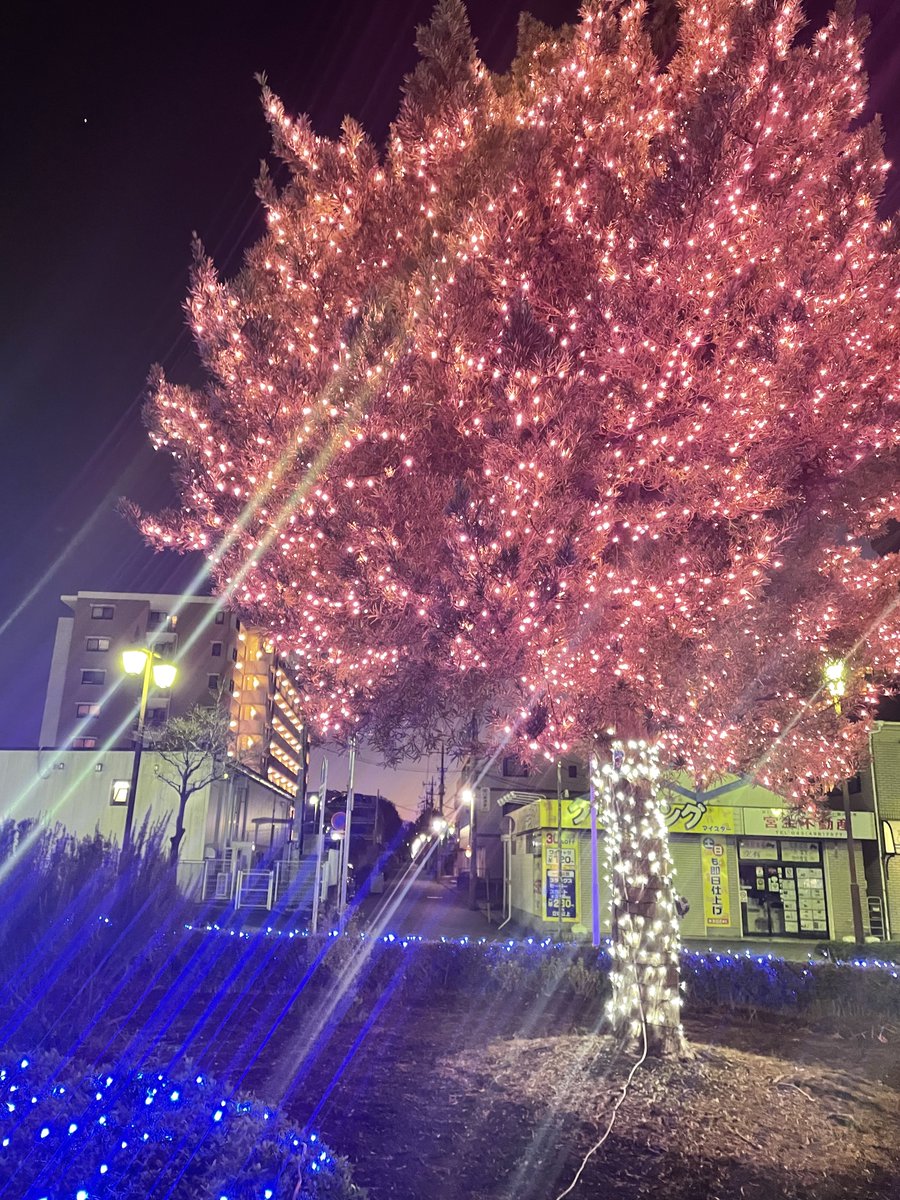 shisui_town's tweet photo. 【日本で一番古い町のイルミネーション】
12月1日から、イルミネーションの点灯が始まりました✨
JR酒々井駅前にお立ち寄りの際は、ぜひご覧ください☺
1月末まで、毎日17時から22時に点灯しています。 https://t.co/QAA3ARhnUL