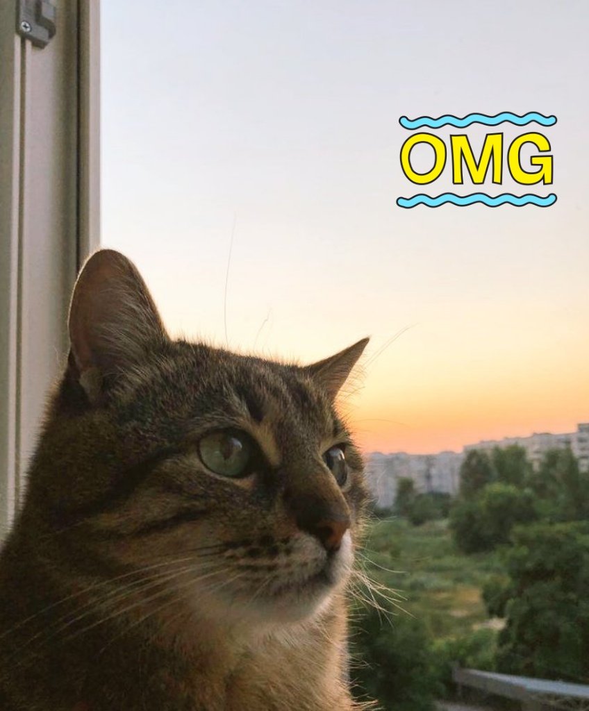 XeniaRoxen's tweet image. Who is she
Where did she come from
What is her name
#LostKitty