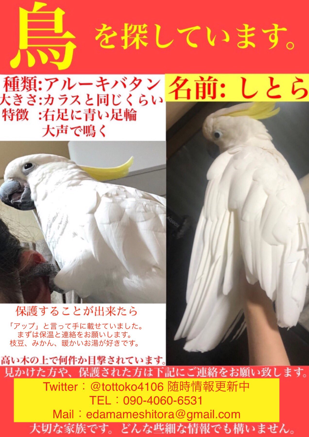 福原布美子 Z51dgjt5ifxolmz Twitter