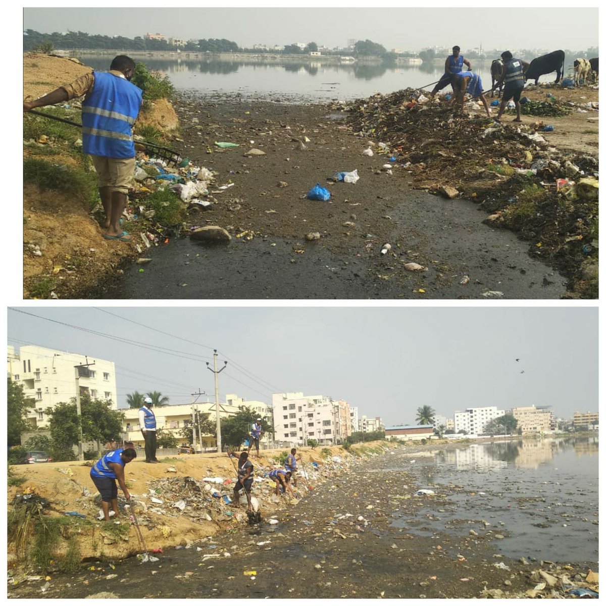 AMalakpet's tweet photo. Entomology Staff Removing garbage in Saroornagar tank at Singareni Officer Colony Side. Circle 7 Santhosh Nagar @KTRTRS @GadwalvijayaTRS @arvindkumar_ias @GHMCOnline @dr_rambabu_a https://t.co/8LcjaSl4tE