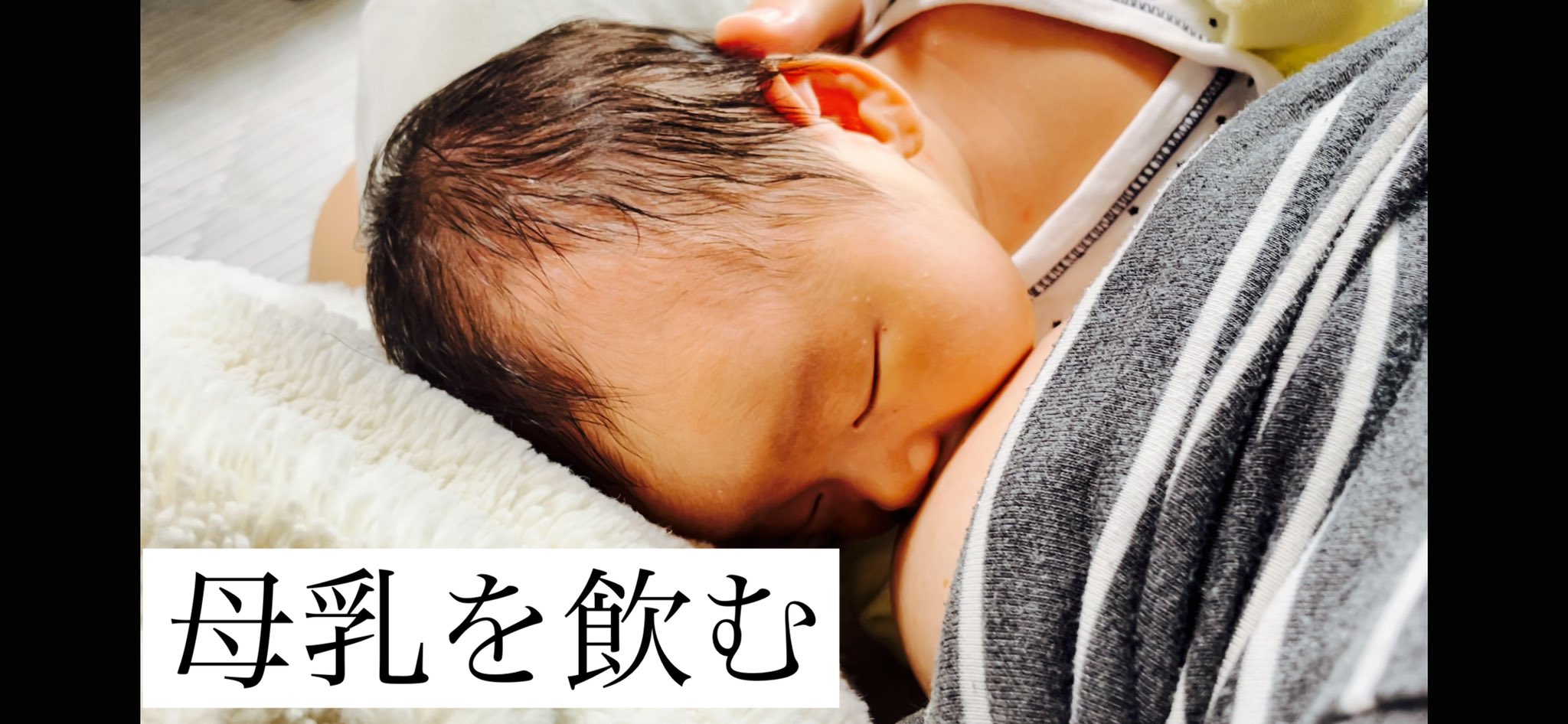 えたおちゃんねるyoutube 2m Ro9le9enk6syu5n Twitter
