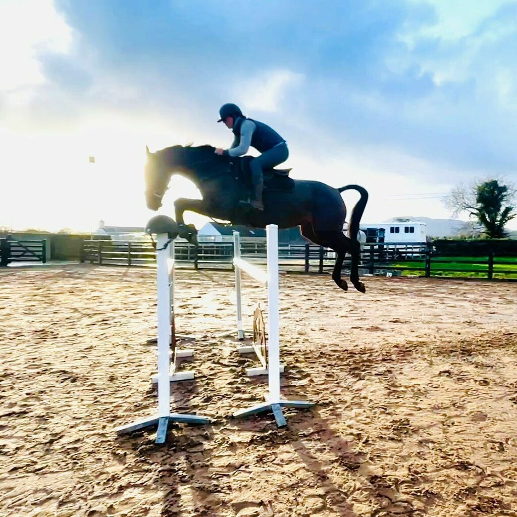 WallaceEventing's tweet photo. When horses give you wings 🚀
Having so much fun trying some amazing horses. 

#horsesofinstagram 
#equestrianlife 
#horsesareamazing 
#wallaceeventing https://t.co/mJoAeqM3SG https://t.co/FbH6FwR0f6
