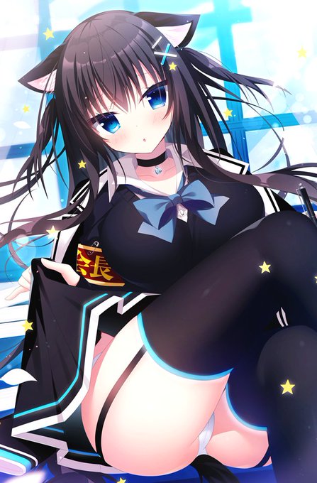 吾輩は猫である、そして生徒会長なのにゃ❕
みなのもの 頭が高いのにゃ!🐱

チュールを献上するなら・・・
ちょっと好きになってしまうかもしれないにゃ🐾💙 