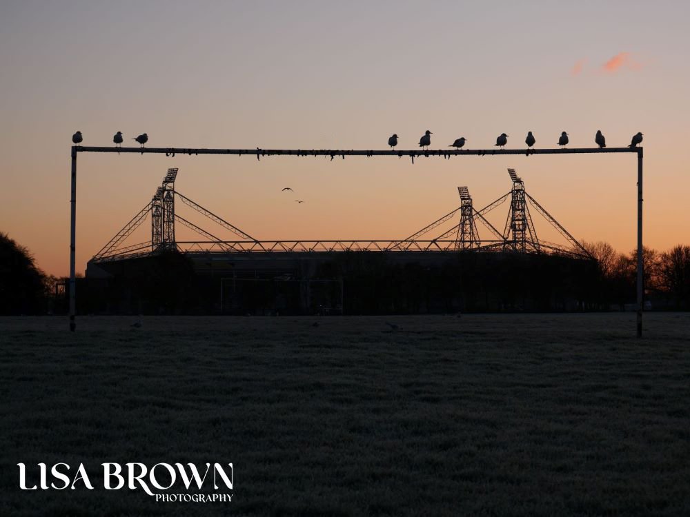 Lisa Brown Photography tweet media