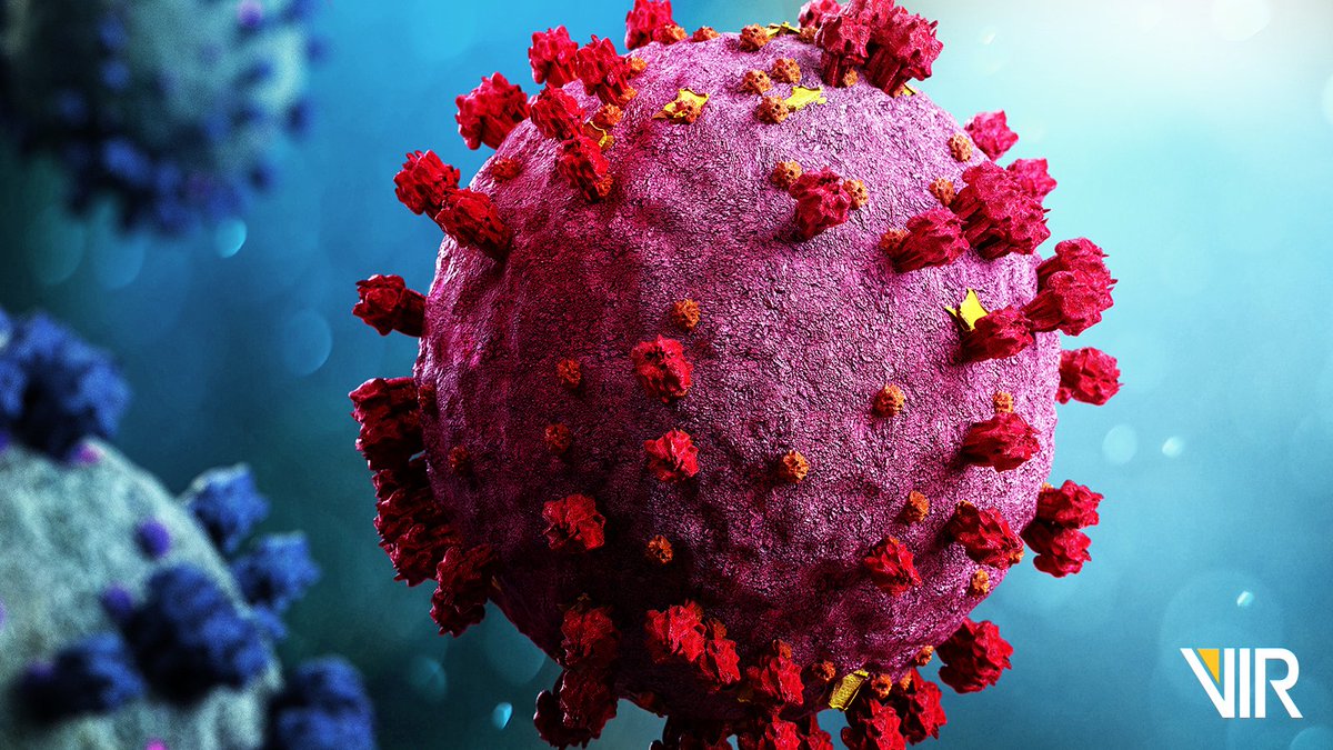 Vir_Biotech's tweet image. Vir/@GSK shared pre-print data demonstrating our investigational #COVID19 monoclonal antibody retains activity against key mutations of the #Omicron variant. Further testing to confirm activity against the combination of all Omicron mutations is underway. bit.ly/3ofPp6q