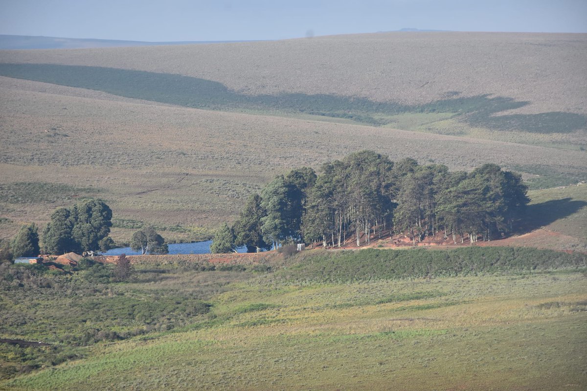 TourismMalawi's tweet photo. Nyika National park has some of the most breathtaking views in #Malawi 
#bestintravel2022
#lovemalawi https://t.co/ZGONWhyK46