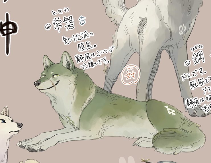 This wolf's name is Tokiwa(常磐), and it belongs to a different pack than Funazuki(舟月) and Shizukaze(静風) https://t.co/hXhe9O8HKg 