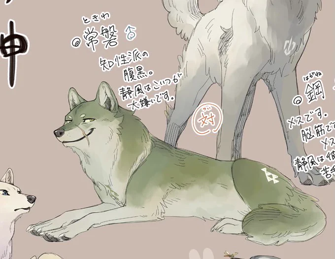 This wolf's name is Tokiwa(常磐), and it belongs to a different pack than Funazuki(舟月) and Shizukaze(静風) https://t.co/hXhe9O8HKg 