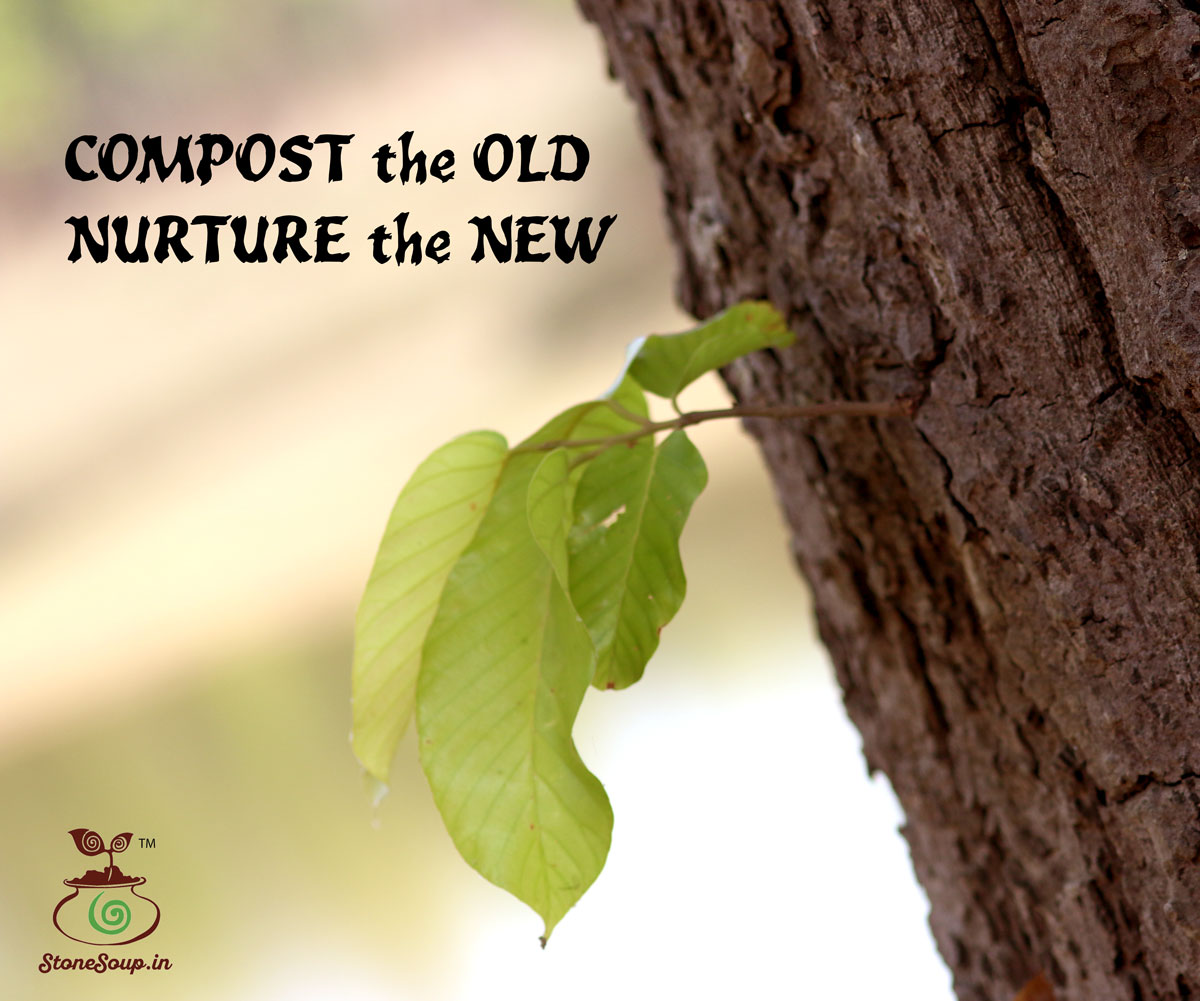 StoneSoup_in's tweet photo. Composting is the best way to turn your wet waste into something useful.

Convert Waste to Black Gold!!!!

DM to start composting

#composting #compostbin #stonesoupcompost #blackgold #bestoutofwaste
#sustainableliving #ecofriendlyliving #gogreen #greenliving #wastemanagement https://t.co/DwWlb3VU8P