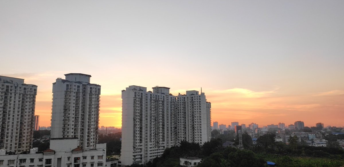 Peace Frog tweet media