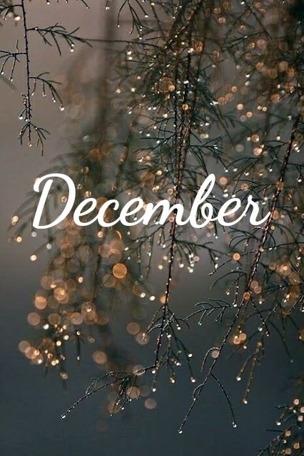 Hello December ✨🎄 

We have a busy few weeks ahead at Hunton Park Hotel ready to invite our guests back for Christmas Parties and celebrations. We didn’t get to do this last year and we are very excited ✨🎉 

We look forward to welcoming you all! 

#festiveseason #christmas