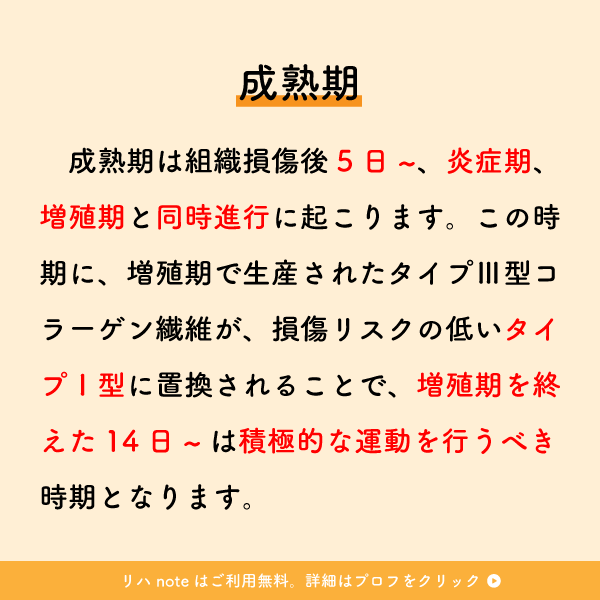 riha_note's tweet photo. リハ職が絶対に知っておくべき外傷後の適切な運動時期💡

リハビリによる疼痛の増悪や筋力低下を防ぐために必ず知っておくべき基礎的な内容です。
臨床場面では担当医師にも相談の元、適切な治療プログラムを選択してください。 https://t.co/MoDUaMVXVW
