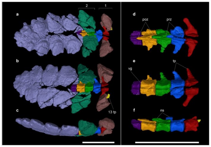 eddawn44🧬🇲🇽𒉭 tweet media