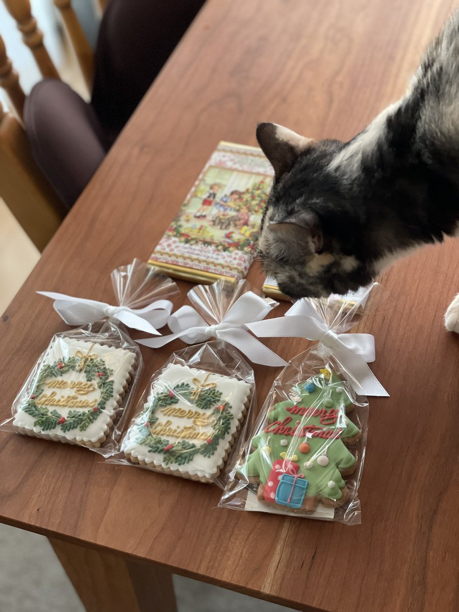 sawad0201's tweet photo. クリスマスマーケットの収穫 https://t.co/DdsjoBXuCX