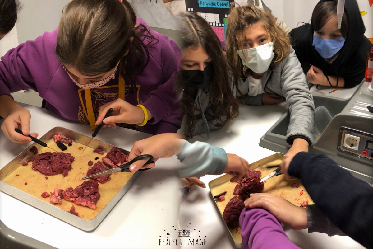 6.sınıflarımız ile kalp diseksiyonu     🫀🫀 <a href="/ardaergez/">Arda ERGEZ</a> <a href="/Filizolgunpolat/">Filiz Polat</a> <a href="/Elvan74278976/">Elvan paşalı</a> <a href="/BakirciAycin/">Ayçin BAKIRCI</a> @KSKOrnekkoyUgur