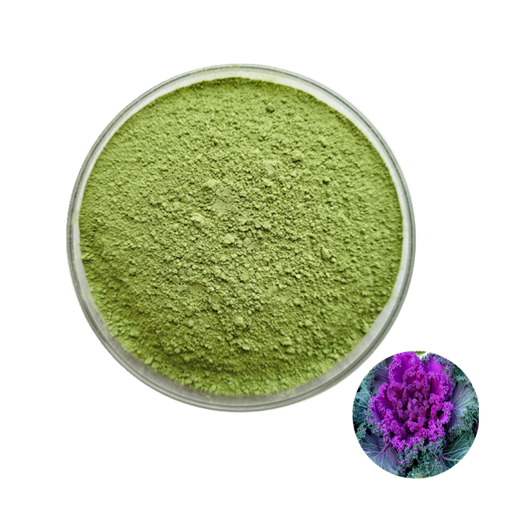 MingChemical's tweet image. The Vc content of kale is the highest among green leafy vegetables. The content of trace element selenium is the first among cabbage vegetables and has the reputation of "anti-cancer vegetable". 
available now, pls contact me. 
#kales #kalepowder #organickalepowder #kaleextract