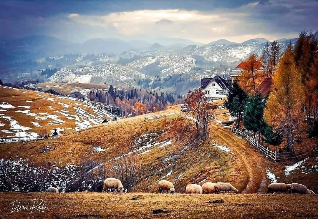 Winter is coming...☃️❄🌨 😍😍😍 Peștera, #Brașov #România Foto Iulian Radu #DiscoverRomania
