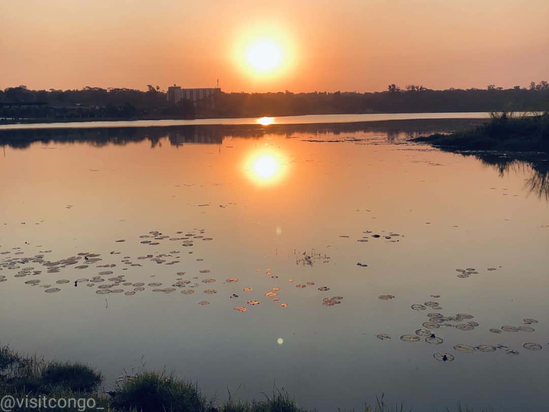 Azzüre | Nature tweet media