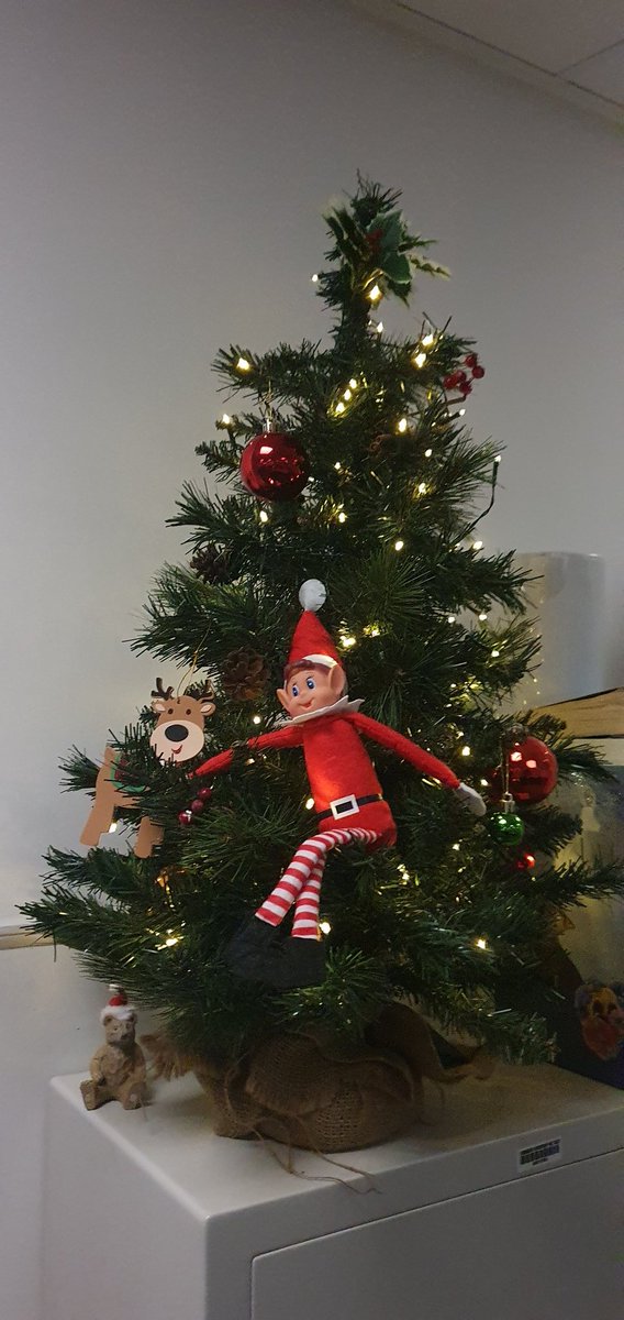 BeckyRMN's tweet photo. Meet Alfie our Urgent Care Hub Elf on the shelf 🥰

Day 1 on our team Christmas tree to say hello 

Day 2 putting some staff on the naughty list 

#gmmh
#mentalhealthurgentcarehub
#elfieselfie 
#alfietheurgentcareelfie
#atherleighpark
@GMMH_NHS https://t.co/eBwiZ6MCCV