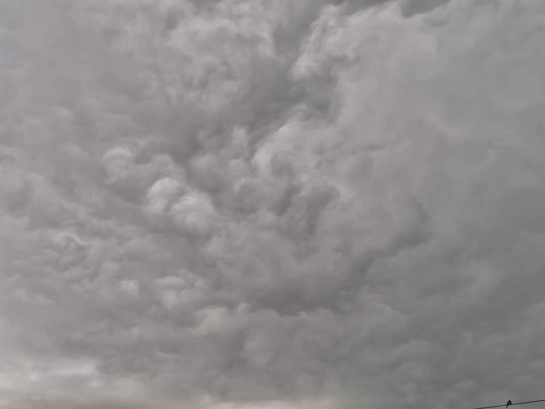 ReenvalSA's tweet photo. #Dalview #Brakpan oggend van 2 Desember 2021
📷Aniska Victor
@SAWeatherServic
@AfricaWeather_
@peoples_weather
@ewnreporter
@VoxWeatherZa
@GCNnews
@willempelserrsg https://t.co/7TWh66GBYe
