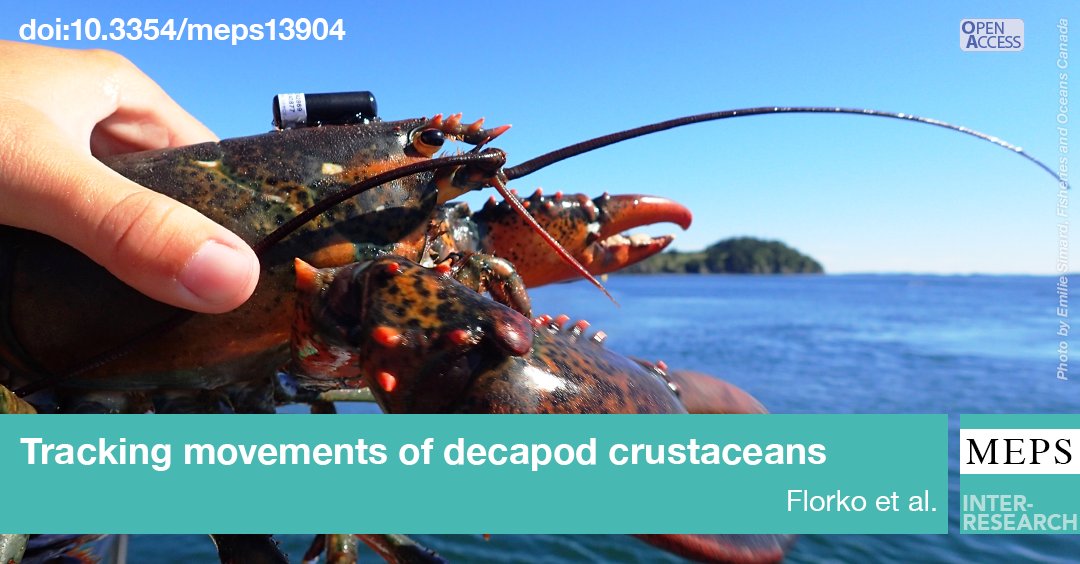 New paper reviews 50 years of telemetry-based studies tracking movements of decapod crustaceans. This paper covers everything from tag burdens to technology opportunities to allometric scaling between body size and movement for decapods.

Read more: bit.ly/meps_679_219