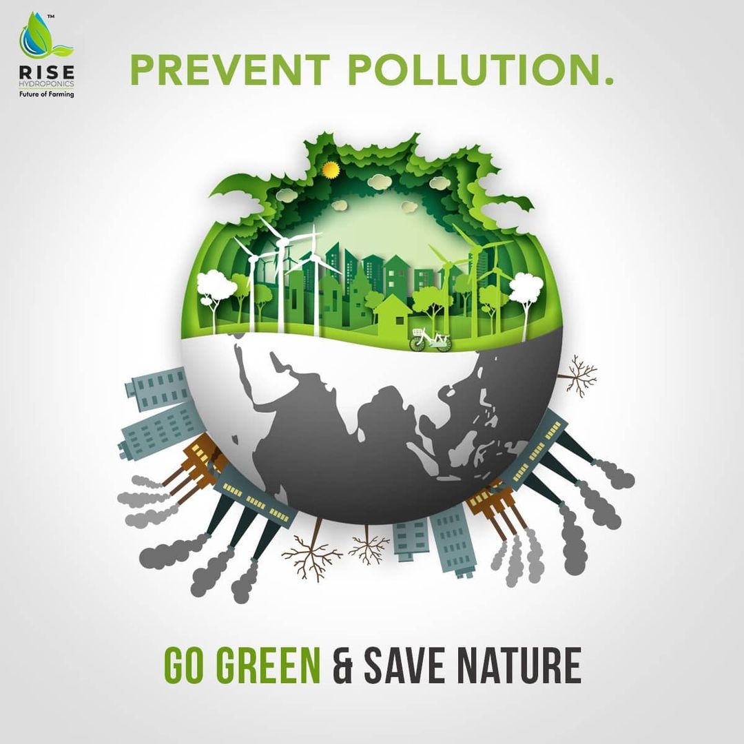 RiseHydroponics's tweet photo. To Breathe Clean, let us go Green☘️🍃

Let's create more awareness to save our environment from getting Poisoned with Pollution✅

World Prevention Pollution Day 🌎

#risehydro #risehydroponics #gogreen #savegreen #saveearth #nopollution  #preventpollution #savenature https://t.co/FcOuRV9Kvh