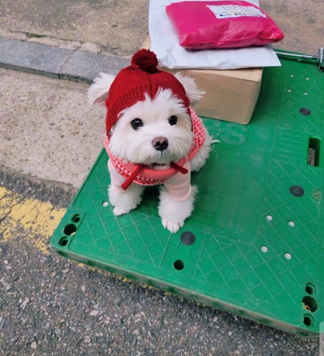 iamkimgosu's tweet photo. 오늘 모자쓴 경태 이거 ���슨 귀여움이야 ㅠ https://t.co/m2sdGGVGEo
