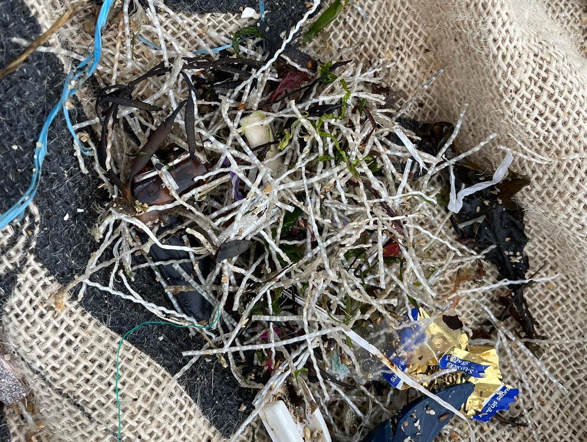 flossiebeachcl1's tweet photo. Every cleanup down at Sandycove and we are picking up the shards in their 100’s… 🤯 @dlrcc @EPAIreland https://t.co/zhxfDlVvLp